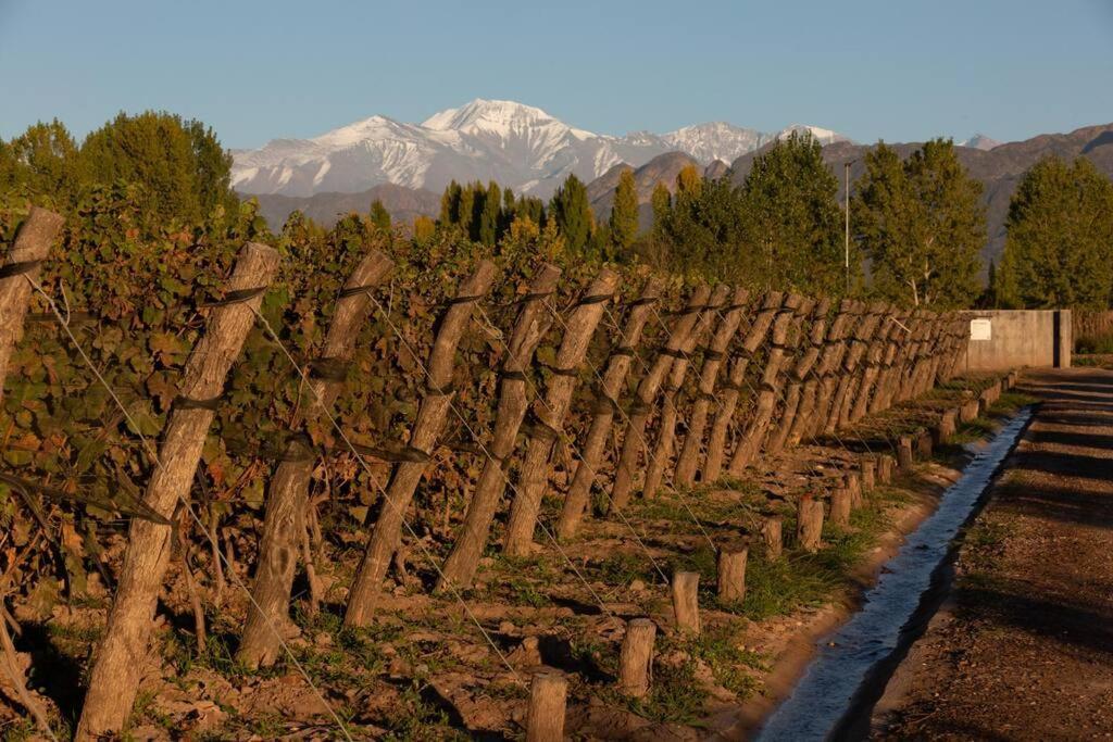 Bodega Durigutti Family Winemakers Villa Las Compuertas Exterior foto