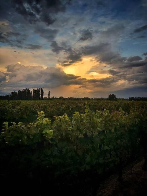 Bodega Durigutti Family Winemakers Villa Las Compuertas Exterior foto